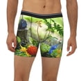 thumbnail image 2 of Lsque Pikmin Pattern Men's Performance Stretch Underwear, Athletic Long Leg Briefs，Moisture-Wicking-Medium, 2 of 6