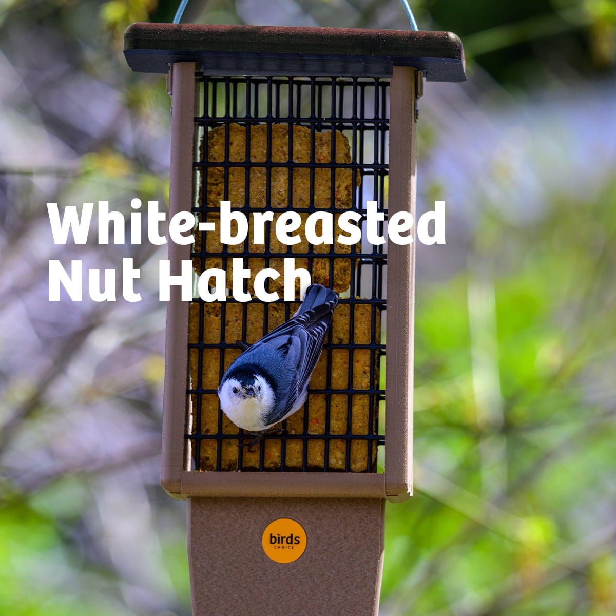 Birds Choice SNPSB Recycled Double Cake Suet Feeder, 8"L X 3"W X 22-1/2"H, Taupe w/ Brown Roof