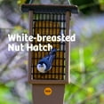 thumbnail image 4 of Birds Choice SNPSB Recycled Double Cake Suet Feeder, 8"L X 3"W X 22-1/2"H, Taupe w/ Brown Roof, 4 of 10