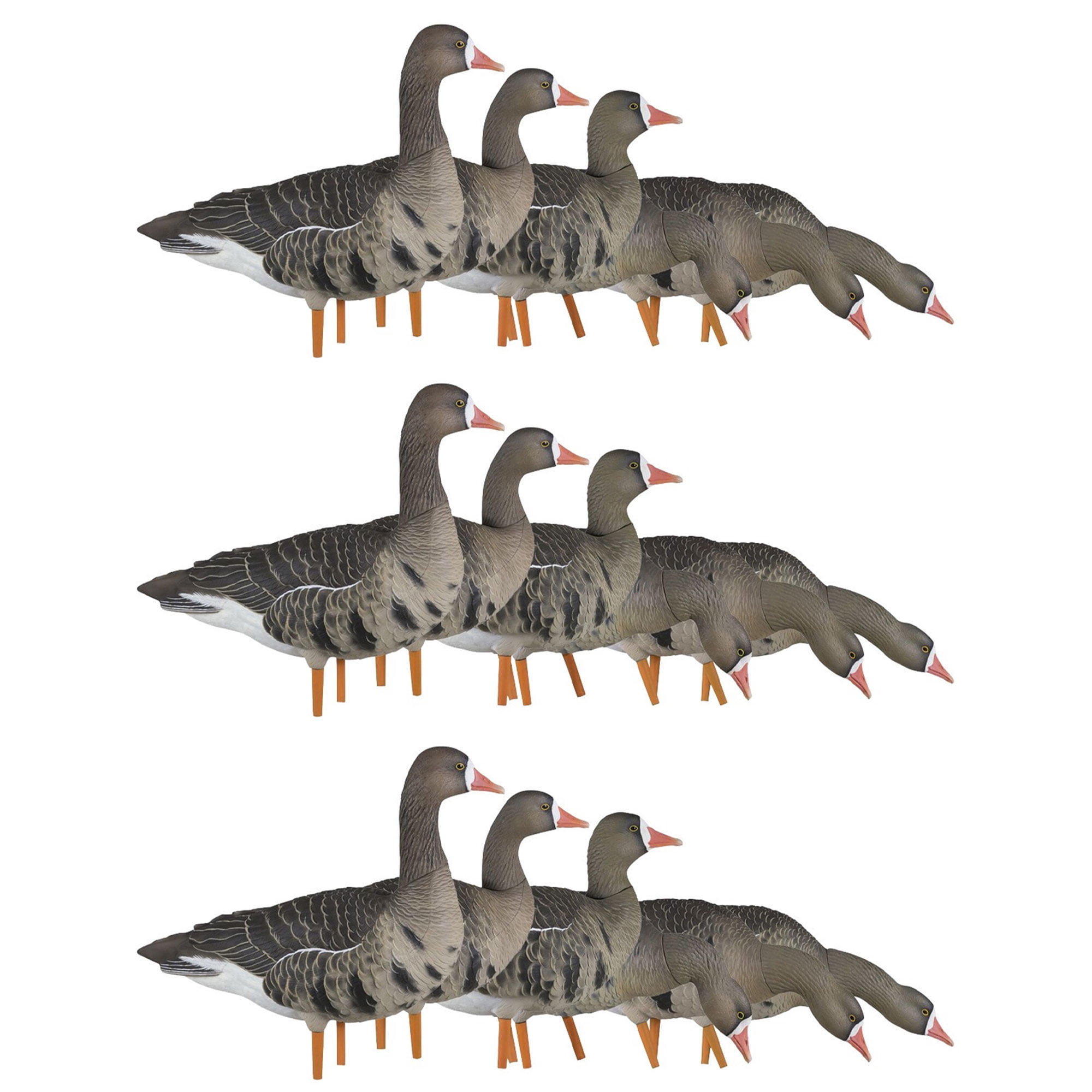 Shell Decoys Avian-X AXP Lesser Fusion Duck Decoys (6 Pack) | Fully ...