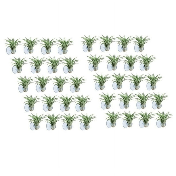 Soporte de Planta de Aire de 40 Piezas, con Ventosa para Colgar (Plantas No Incluidas)