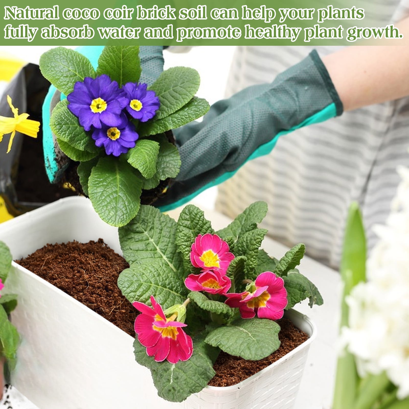 ZeeDix 10lb of  100% Organic Coco Coir Bricks with Low EC and pH Balance High Expansion Coco Fiber for Herbs, Flowers,Plants Gardening Renewable Coconut Soil