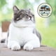 thumbnail image 3 of Dr. Pol Incredi-Pol Favoritos Golosinas para gatos con sabor a pollo y centro cremoso, 5 oz. Bolsa, 3 of 3