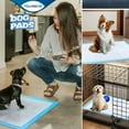 thumbnail image 4 of Tolobeve 23.5x35.5inch Dog Training Pads, 20 Pcs Disposable Dog Pee Pads for Medium Large Sized Dog, 4 of 9