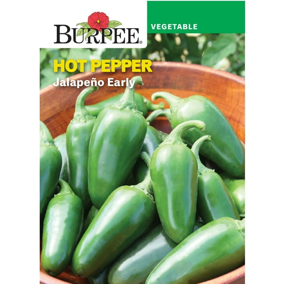 Burpee Jalapeño Early Hot Pepper Vegetable Seed, 1-Pack