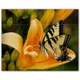 thumbnail image 1 of Picture-Tiles.com: Butterfly Ceramic Tile Wall Mural WAL500303-54S. 21.25"W x 17"H using (20) 4.25" x 4.25" Ceramic Tiles-Satin Finish, 1 of 3
