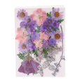 thumbnail image 2 of segolike 10Pcs Multiple Mix Natural Pressed Dried Flowers Leaves DIY Arts Crafts A A, 2 of 9