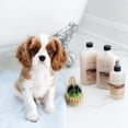 thumbnail image 5 of Isle of Dogs Everyday Jasmine & Vanilla Silky Coating Shampoo for Dogs, 5 of 8