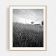 thumbnail image 2 of Red Hook - Brooklyn New York Photography Black and White Industrial Nature Landscape Minimalist Rural Silhouette Unframed Wall Art Print 20 x 24 inches, 2 of 13
