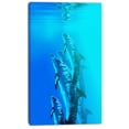 thumbnail image 2 of Design Art - Dolphin in Blue Sea, 2 of 3