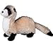 thumbnail image 3 of Douglas Dapper Ferret, 3 of 3