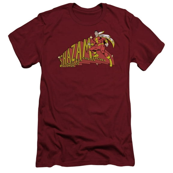 DC Comics Shazam! S/S Adult 30/1 T-Shirt-Cardinal