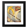 thumbnail image 2 of W. A . Blakston 15x17 Black Modern Framed Museum Art Print Titled - Scotch Fancy Canaries (1878), 2 of 5