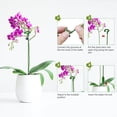 thumbnail image 4 of 10 Pack 10.6"H/27cm Flower Plant Stakes Sticks for Garden Single Stem Plant Support Phalaenopsis Orchid Flower Roses 6.7"H, 4 of 6