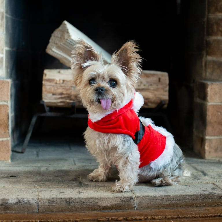 Red Paw Yorkshire Terrier Jacket