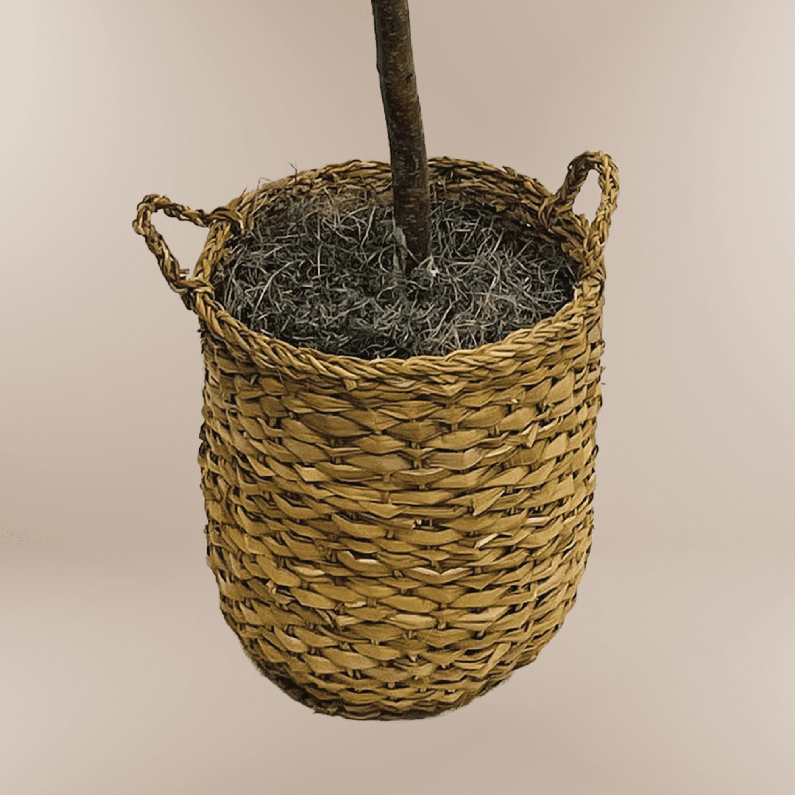 Artificial Tree, LCG Florals 6ft Olive Tree in Deco Basket, Fake Indoor Faux Tree for Living Room, Office, and Home Decor