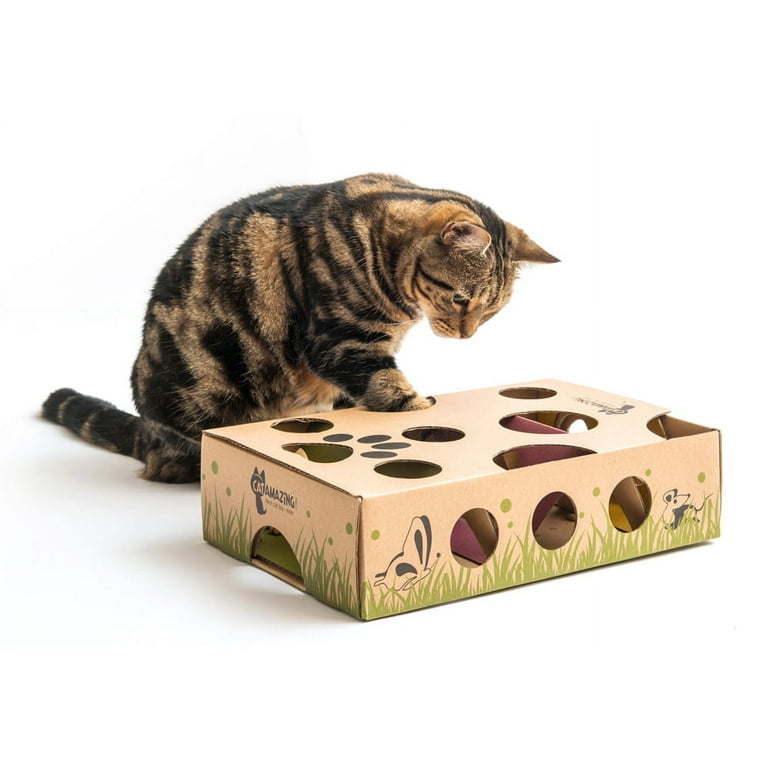 Cat Amazing CLASSIC! Interactive Treat Maze & Puzzle Feeder Cat