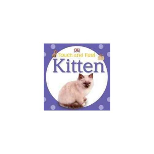 Kitten