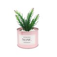 thumbnail image 2 of Plantas suculentas artificiales: miniplantas suculentas artificiales mejoradas en macetas para la decoración de escritorios de la oficina en casa, pequeñas suculentas artificiales variadas en macetas, 2 of 5