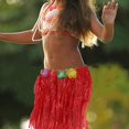 thumbnail image 5 of Faldas hawaianas, falda de hierba hawaiana de 40 cm con banda elástica para niños y mujeres, disfraz de fiesta hawaiana, 6 unidades Zhivalor PTL232, 5 of 5