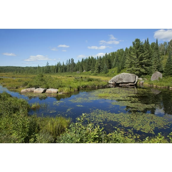 Lake Opeongo, Algonquin Provincial Park; Ontario, Canada Poster Print (38 x 24)