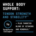 thumbnail image 6 of Beyond Raw Dynamic Gainer | High-Tech Mass Gainer | Optimized Absorption, Enhanced Strength, and Joint Stability | Strawberry Shortcake | 15 Servings, 6 of 7