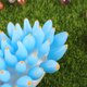 thumbnail image 5 of FESTFENDS Adorno De Coral Azul Para Acuarios Con Natural Y Base Para, 5 of 7