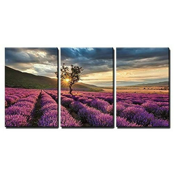 wall26 - 3 Piece Canvas Wall Art - Stunning Landscape with Lavender Field at Sunrise - Modern Home Art Stretched and Framed Ready to Hang - 16"x24"x3 Panels