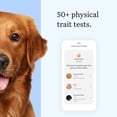 thumbnail image 5 of Wisdom Panel Essential Dog DNA Testing Kit, Most Accurate Test, 430+ Dog Breeds, 30 Genetic Health Conditions, 50+ Traits, Relatives, Ancestry, 1 Pack, 5 of 8