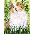 thumbnail image 1 of Carolines Treasures SS8844CHF 28 x 40 In. Australian Shepherd Flag Canvas- House Size, 1 of 4