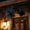 A, variant on Halloween Hanging Ornaments Realistic Bat Decorations Plastic Horror Bat Decor for Outdoor Indoor Hanging Vampire Flying Bats for Home Halloween Party,