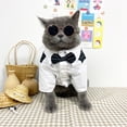 thumbnail image 3 of Xiao Hua Camiseta de traje para perro y gato, camisetas transpirables para mascotas, sudadera para cachorro, ropa para perro, abrigos para perros pequeños, medianos y gatos, rojo vino, L, 3 of 4