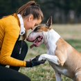 thumbnail image 4 of Silbato para perros para dejar de ladrar - Control silencioso de ladridos para perros - Repelente ultrasónico de patrulla - Silbato disuasorio de entrenamiento plateado - Entrena a tu perro, 4 of 4