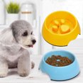 thumbnail image 4 of Billuyoard Cuenco para comer lento para mascotas, amigo peludo, saludable y seguro, alimentador para comer lentamente, platos para cachorros Suministros para perros, 4 of 6