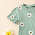 thumbnail image 6 of Baby Girl Clothes Toddler Baby Girls Clothes Outfits 2 Piece Daisy Ruffle Short Sleeve T-Shirts Tops Floral Shorts Clothes Set, 6 of 8