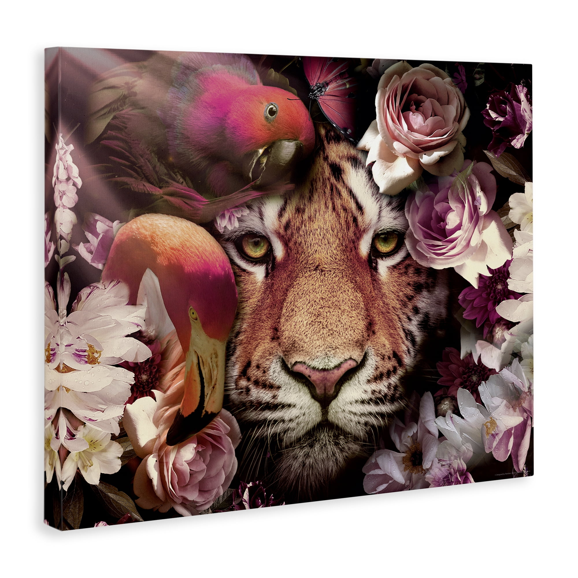 Stupell Industries Tropical Birds & Tiger Animals Painting Wrapped Canvas Art Print Wall Art, 20 x 16