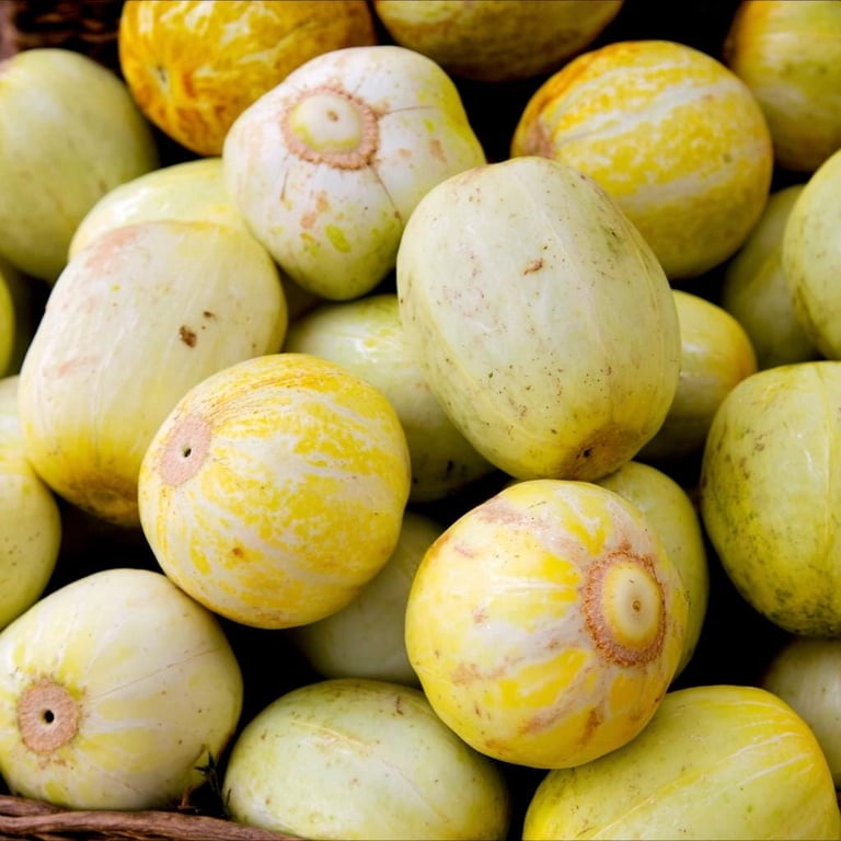 Lemon Cucumber 30 Seeds – Cucumis sativus | Unique Round Yellow