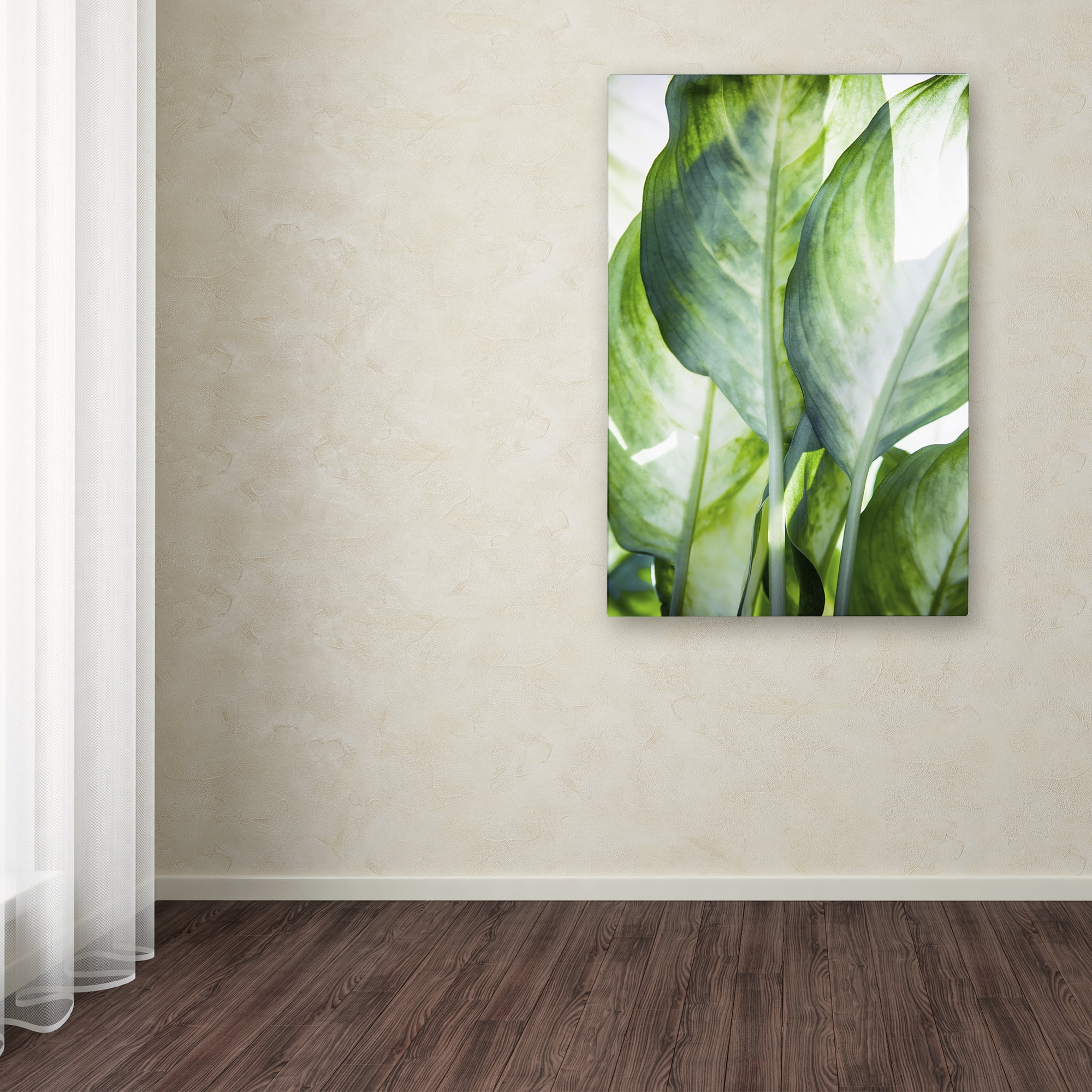 Trademark Fine Art 'Tropic Abstract' Canvas Art by Mark Ashkenazi