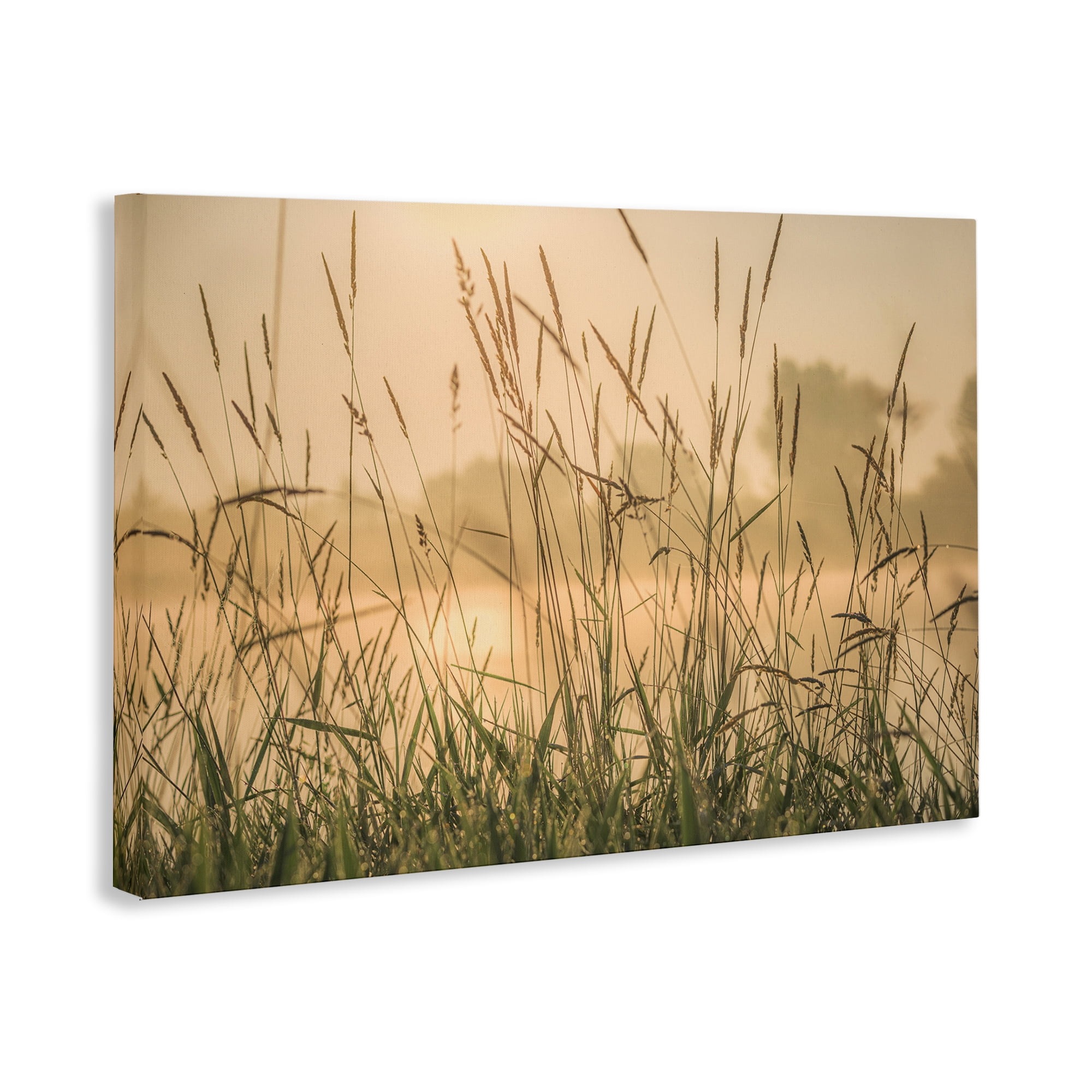 Stupell Industries Grassy Country Reeds Landscape & Nature Photography Wrapped Canvas Art Print Wall Art, 30 x 20