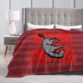 thumbnail image 4 of Muhlenberg College Logo Fleece Blanket, Very Soft Microfiber Flannel Blanket for Couch Warm and Cozy for All Seasons, Black, 4 of 6