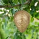 thumbnail image 4 of ¡Venta caliente! Señuelos impermeables que cuelgan elementos disuasorios de tela falsa señuelo de abeja disuasivo para el hogar y el jardín al aire libre, 4 of 6