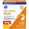 Kroger Coated Fruit Wave Nicotine Gum Stop Smoking Aid (compare to Nicorette) 4mg 160 Pieces *EN