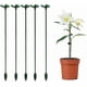 thumbnail image 1 of Climbing Plant Stake Support Orchids - 27cm, with Support Ring, Help Your Flowers Grow, for Garden, Tomatoes, Monstera, Peonies, Peppers, Lily, Rose e, 1 of 5