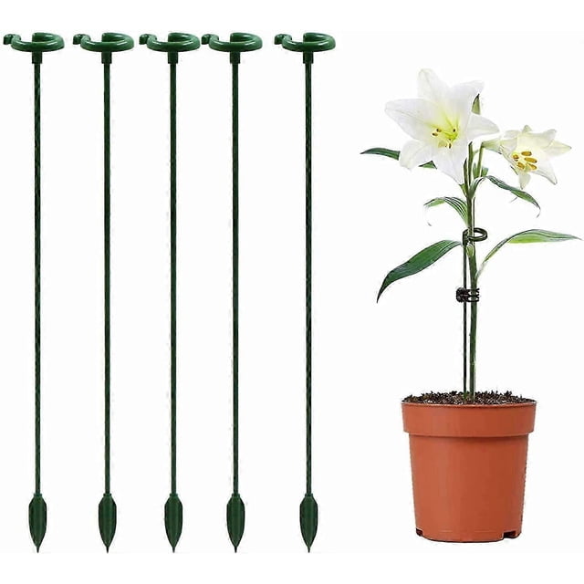 Climbing Plant Stake Support Orchids - 27cm, with Support Ring, Help Your Flowers Grow, for Garden, Tomatoes, Monstera, Peonies, Peppers, Lily, Rose e
