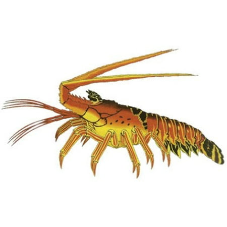 Lobster Decal - Spiny Lobster (Best Gloves For Spiny Lobster)