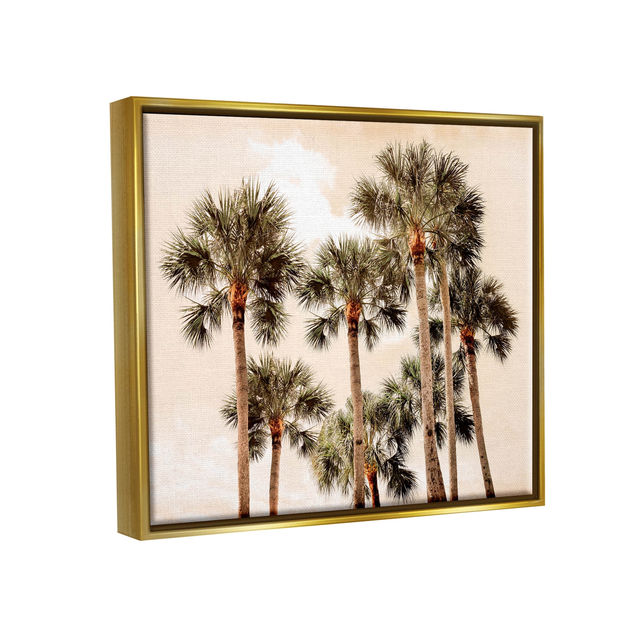 Summer Palm Trees Sky Landscape Photograph Metallic Gold Framed Art Print Wall Art