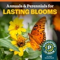 thumbnail image 4 of Pennington Wildflower Meadow Lawn Butterfly and Hummingbird Perennial Full Sun Seed Mix, 32 oz. Bag, 4 of 13