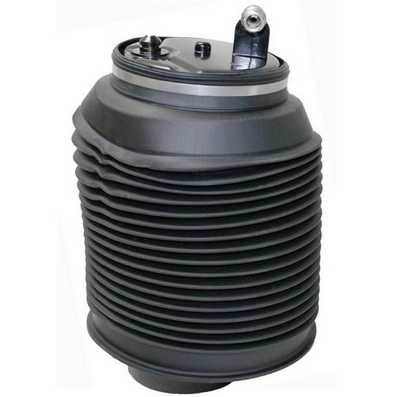 Air Suspension Spring Fits select: 2003-2011 TOYOTA 4RUNNER, 2003-2009 LEXUS GX