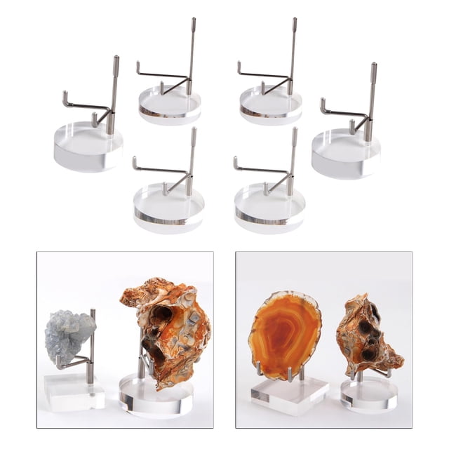 Soporte de exhibición de acrílico de 6 piezas para fósiles, minerales, especímenes , piezas de , piedras de marinas CUTICAT soportes de exhibición