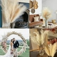 thumbnail image 5 of 10PCS Faux Pampas Grass, 22.3" Short Artificial Pompous Grass Floral Fake Pompas Grass Branches Vase Filler Flower Arrangement for Home Wedding Boho Decor, 5 of 8